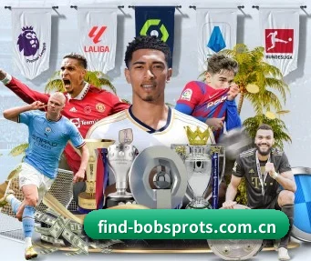 BOB体育 APP 界面